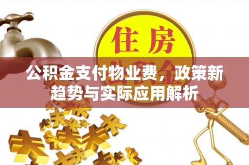 南华公积金支付物业费，政策新趋势与实际应用解析