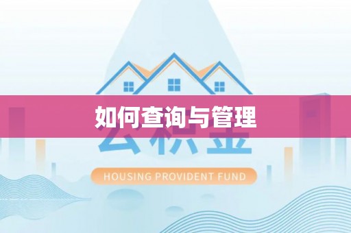 南华如何查询与管理