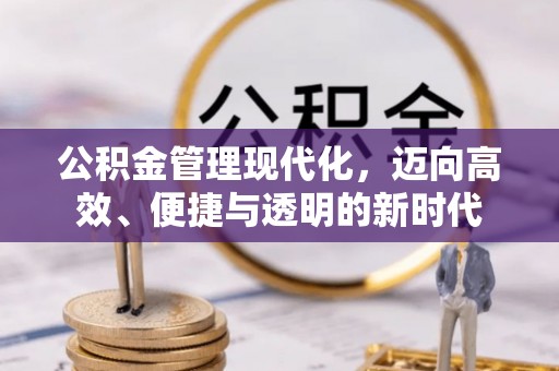 南华公积金管理现代化，迈向高效、便捷与透明的新时代