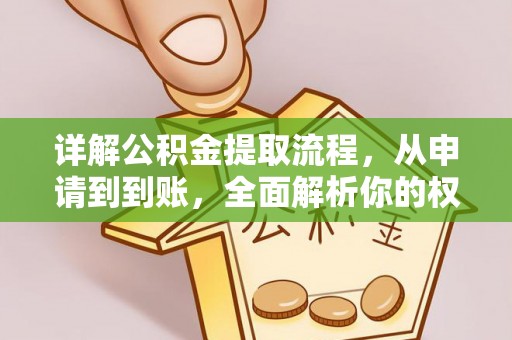 南华详解公积金提取流程，从申请到到账，全面解析你的权益与操作步骤
