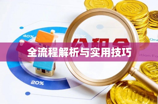 南华全流程解析与实用技巧