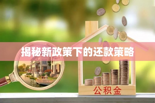 南华揭秘新政策下的还款策略