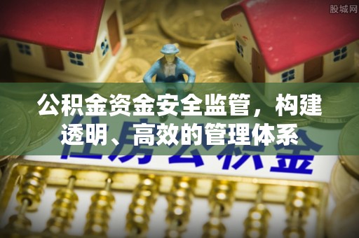 南华公积金资金安全监管，构建透明、高效的管理体系