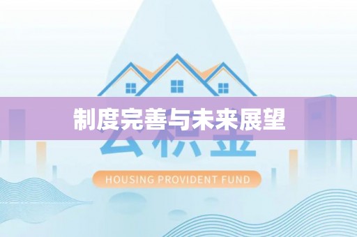 南华制度完善与未来展望