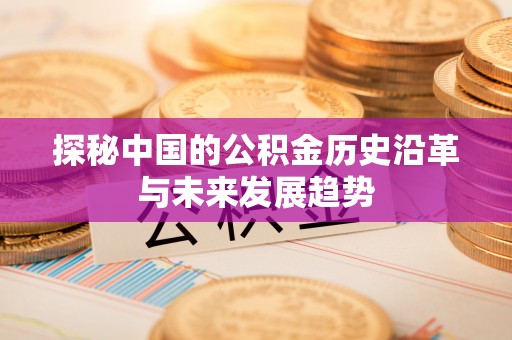 南华探秘中国的公积金历史沿革与未来发展趋势