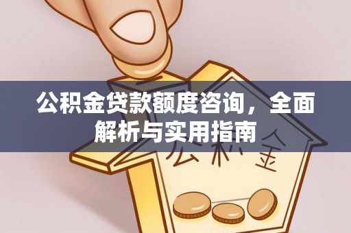 南华公积金贷款额度咨询，全面解析与实用指南