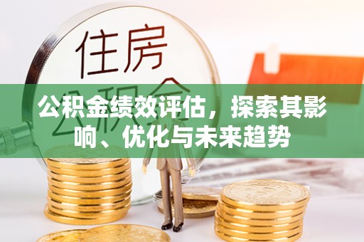 南华公积金绩效评估，探索其影响、优化与未来趋势