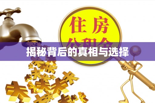 南华揭秘背后的真相与选择
