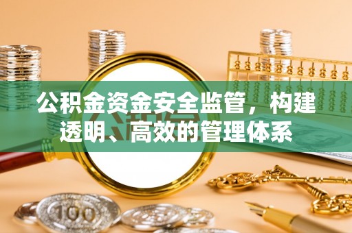 南华公积金资金安全监管，构建透明、高效的管理体系