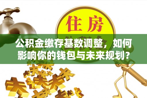南华公积金缴存基数调整，如何影响你的钱包与未来规划？