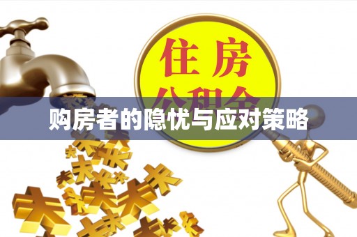 南华购房者的隐忧与应对策略