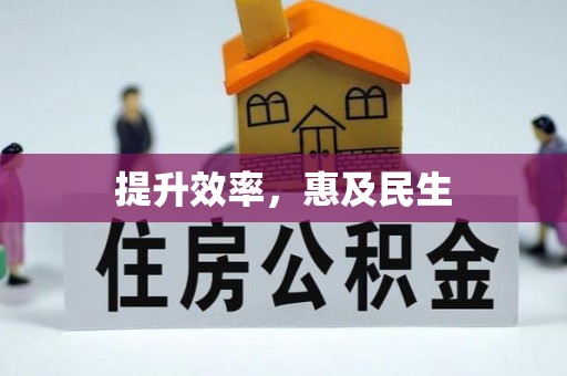 南华提升效率，惠及民生