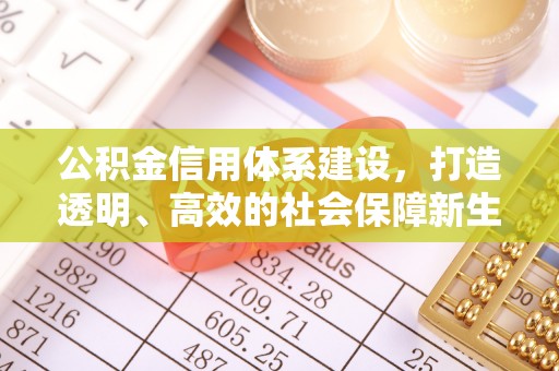 南华公积金信用体系建设，打造透明、高效的社会保障新生态