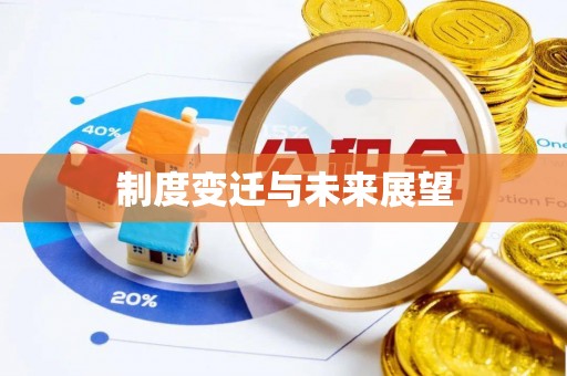 南华制度变迁与未来展望