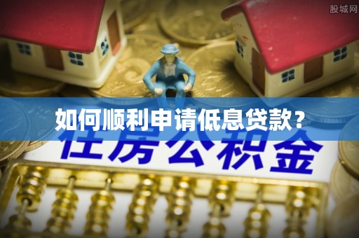 南华如何顺利申请低息贷款？