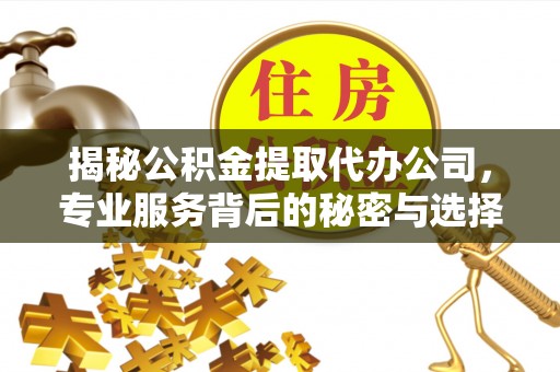南华揭秘公积金提取代办公司，专业服务背后的秘密与选择指南