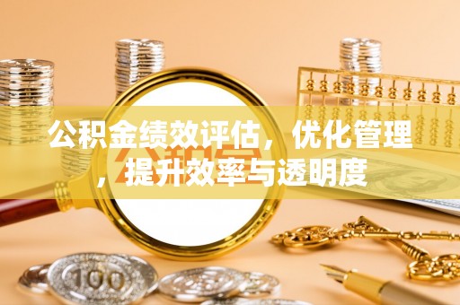 南华公积金绩效评估，优化管理，提升效率与透明度