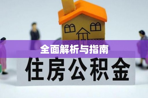 南华全面解析与指南