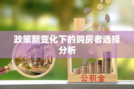 南华政策新变化下的购房者选择分析