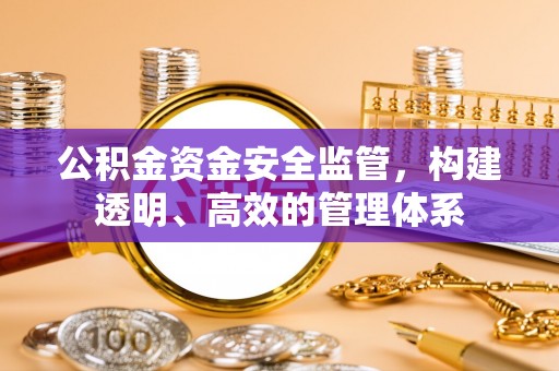 南华公积金资金安全监管，构建透明、高效的管理体系