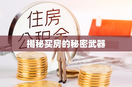 南华揭秘买房的秘密武器