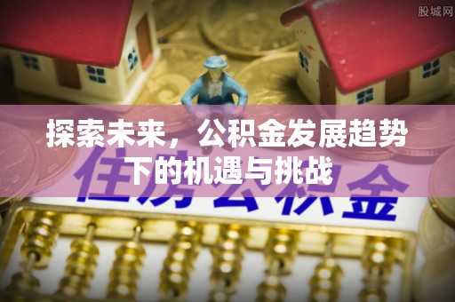 南华探索未来，公积金发展趋势下的机遇与挑战