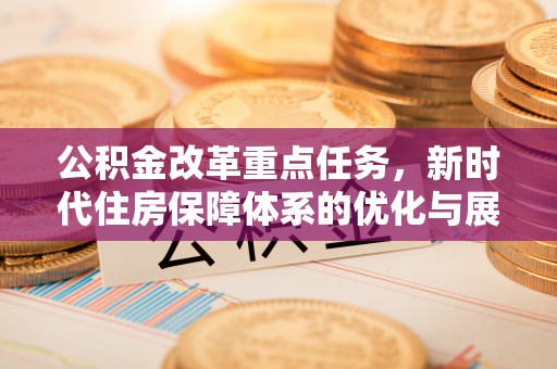 南华公积金改革重点任务，新时代住房保障体系的优化与展望