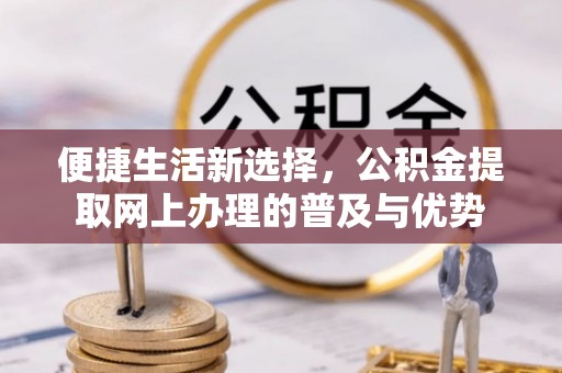 南华便捷生活新选择，公积金提取网上办理的普及与优势