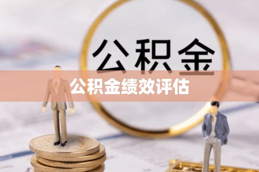 南华公积金绩效评估