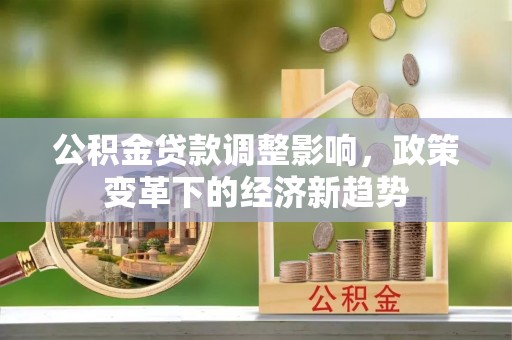 南华公积金贷款调整影响，政策变革下的经济新趋势