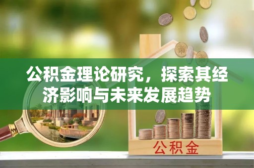 南华公积金理论研究，探索其经济影响与未来发展趋势