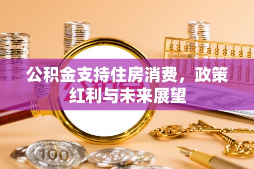 南华公积金支持住房消费，政策红利与未来展望