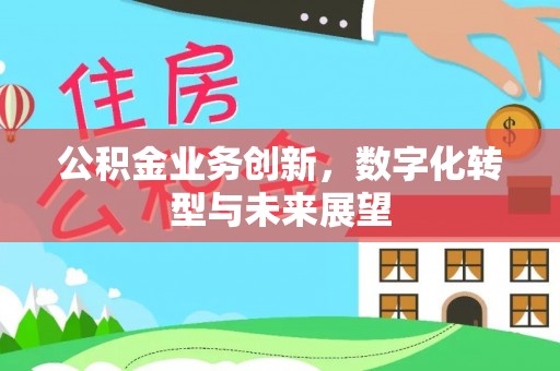 南华公积金业务创新，数字化转型与未来展望
