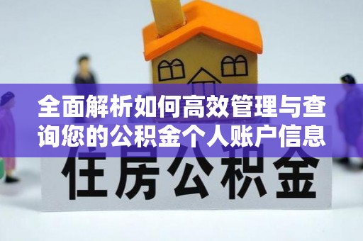 南华全面解析如何高效管理与查询您的公积金个人账户信息