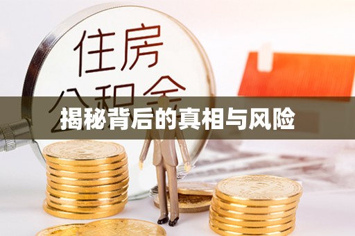 南华揭秘背后的真相与风险