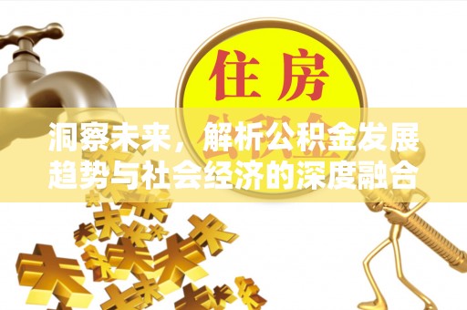 南华洞察未来，解析公积金发展趋势与社会经济的深度融合