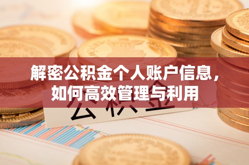 南华解密公积金个人账户信息，如何高效管理与利用