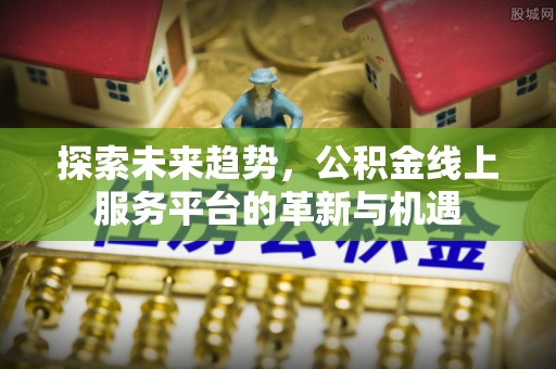 南华探索未来趋势，公积金线上服务平台的革新与机遇