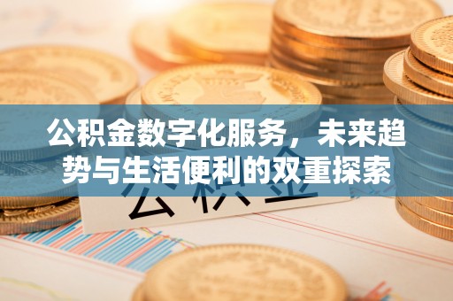 南华公积金数字化服务，未来趋势与生活便利的双重探索