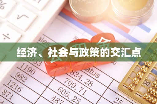 南华经济、社会与政策的交汇点