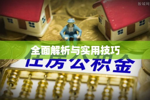 南华全面解析与实用技巧