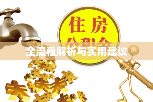 南华全流程解析与实用建议
