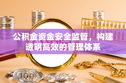 南华公积金资金安全监管，构建透明高效的管理体系