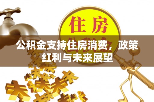 南华公积金支持住房消费，政策红利与未来展望
