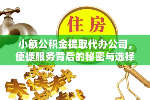 南华小额公积金提取代办公司，便捷服务背后的秘密与选择指南