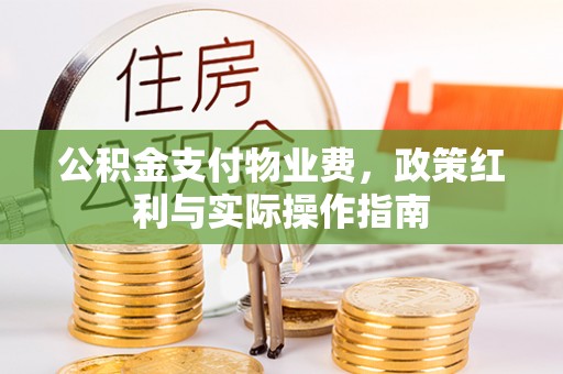南华公积金支付物业费，政策红利与实际操作指南