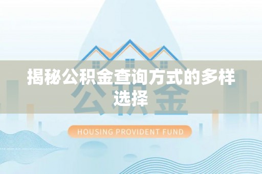 南华揭秘公积金查询方式的多样选择