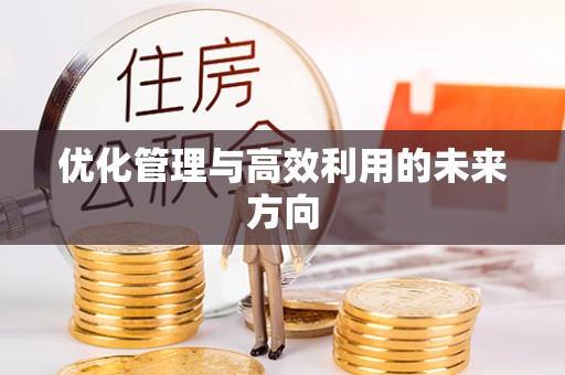 南华优化管理与高效利用的未来方向