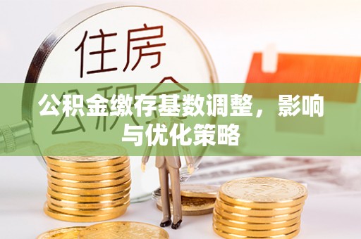南华公积金缴存基数调整，影响与优化策略