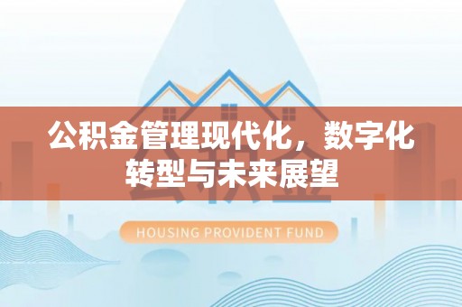 南华公积金管理现代化，数字化转型与未来展望